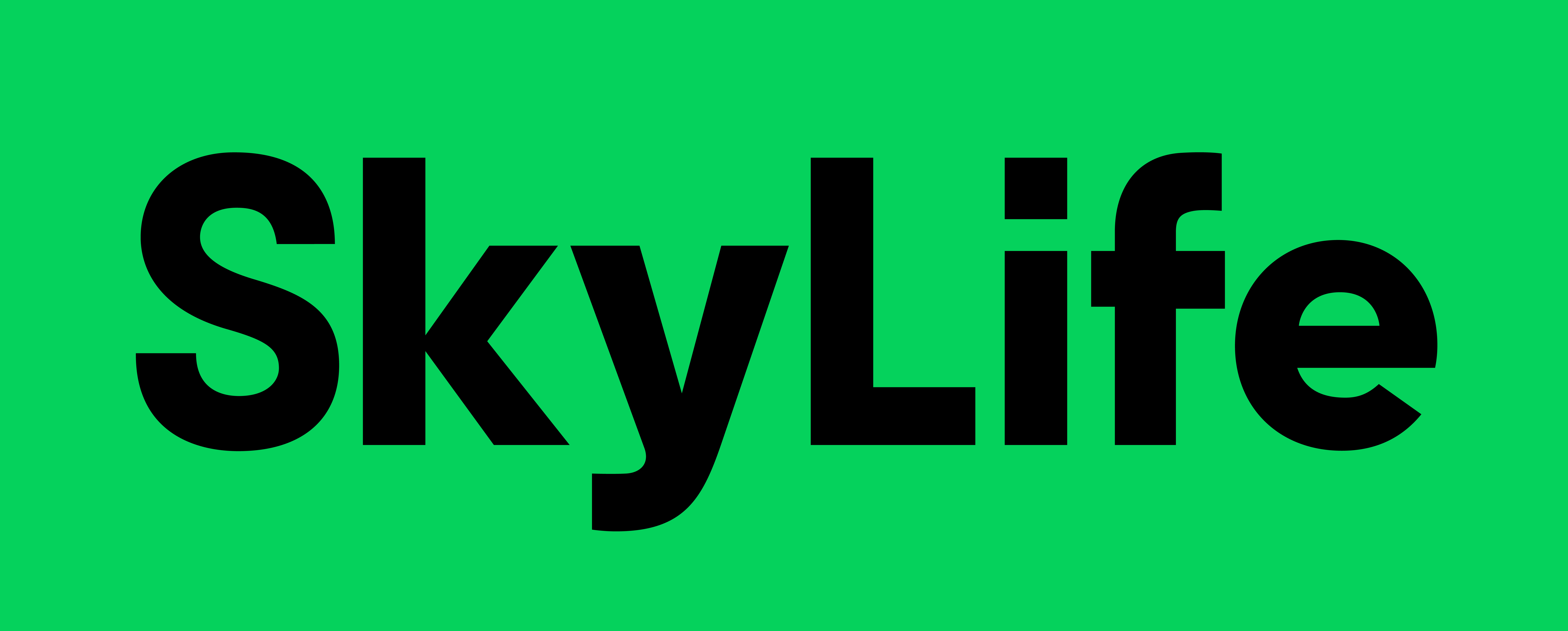 1._skylife_BI_이미지.jpg